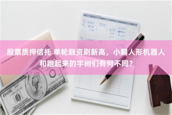 股票质押信托 单轮融资刷新高，小鹏人形机器人和跑起来的宇树们有何不同？