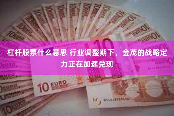 杠杆股票什么意思 行业调整期下，金茂的战略定力正在加速兑现
