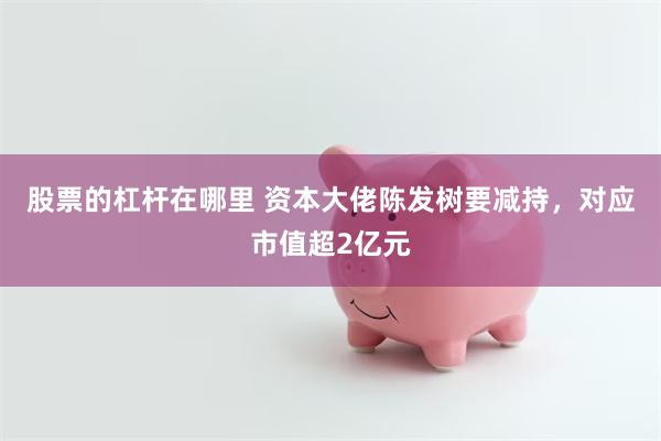 股票的杠杆在哪里 资本大佬陈发树要减持,对应市值超2亿元