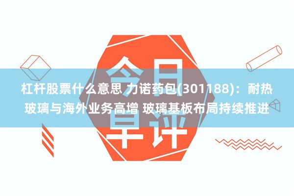 杠杆股票什么意思 力诺药包(301188)：耐热玻璃与海外业务高增 玻璃基板布局持续推进