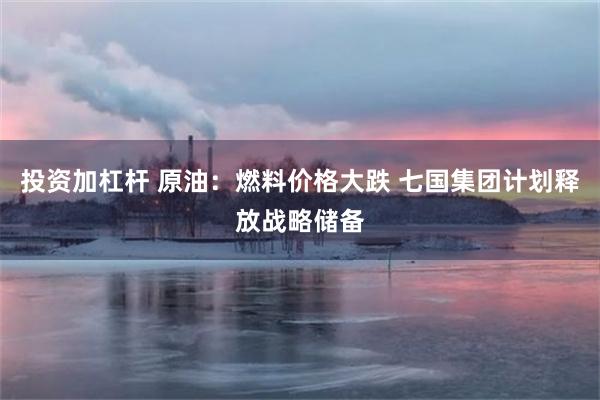投资加杠杆 原油：燃料价格大跌 七国集团计划释放战略储备