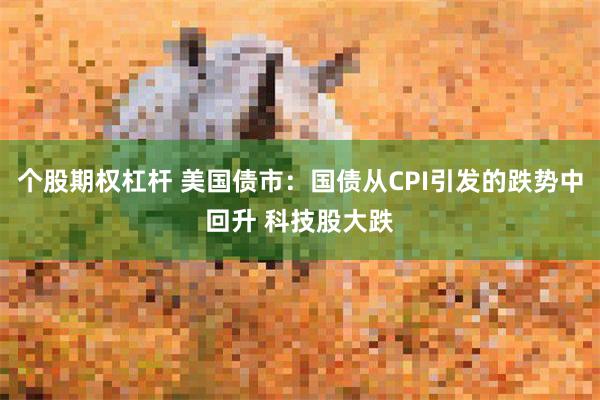 个股期权杠杆 美国债市:国债从CPI引发的跌势中回升 科技股大跌