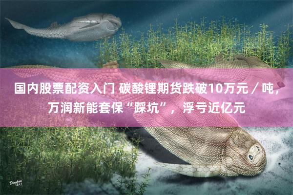 国内股票配资入门 碳酸锂期货跌破10万元／吨，万润新能套保“踩坑”，浮亏近亿元