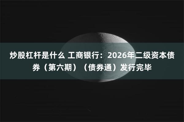 炒股杠杆是什么 工商银行：2026年二级资本债券（第六期）（债券通）发行完毕