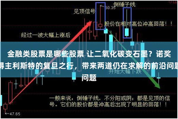 金融类股票是哪些股票 让二氧化碳变石墨？诺奖得主利斯特的复旦之行，带来两道仍在求解的前沿问题