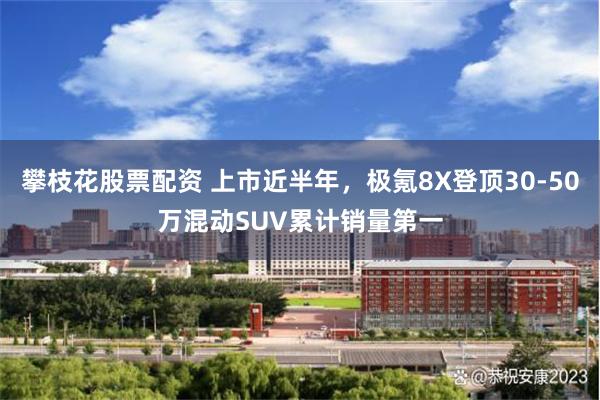 攀枝花股票配资 上市近半年，极氪8X登顶30-50万混动SUV累计销量第一